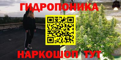 дживик Ливны