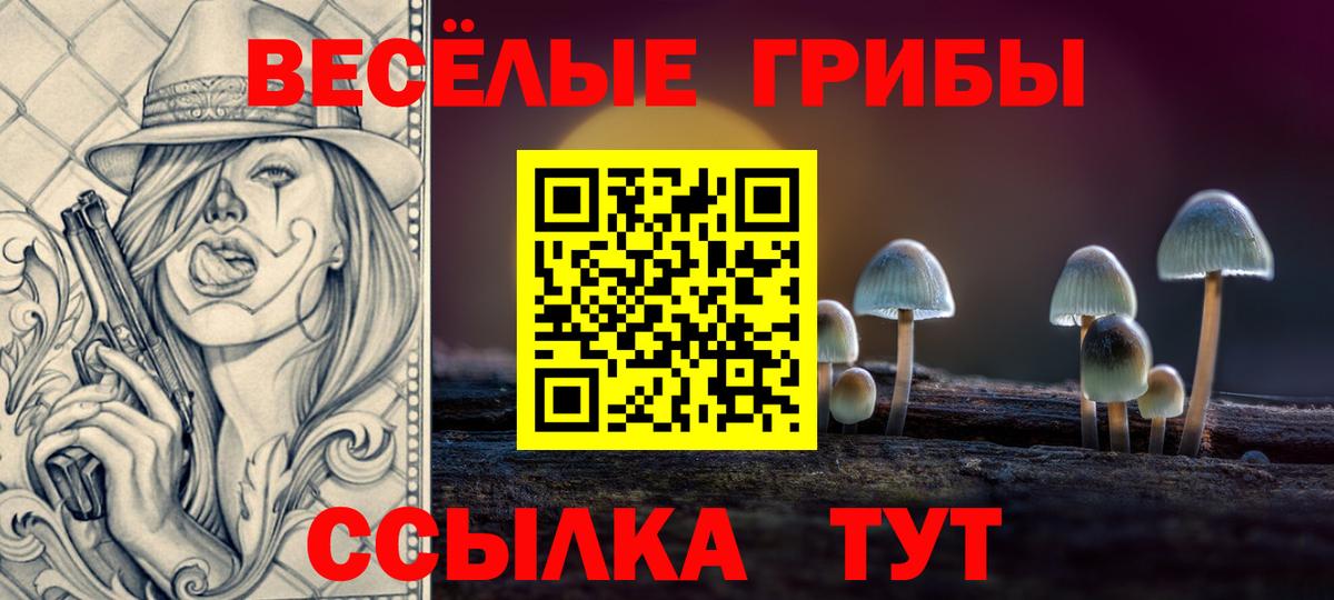 Галлюциногенные грибы Psilocybe  Вход с VPN  Камень-на-Оби 